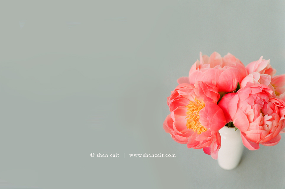 ElDoradoHills_Peony_Photography3