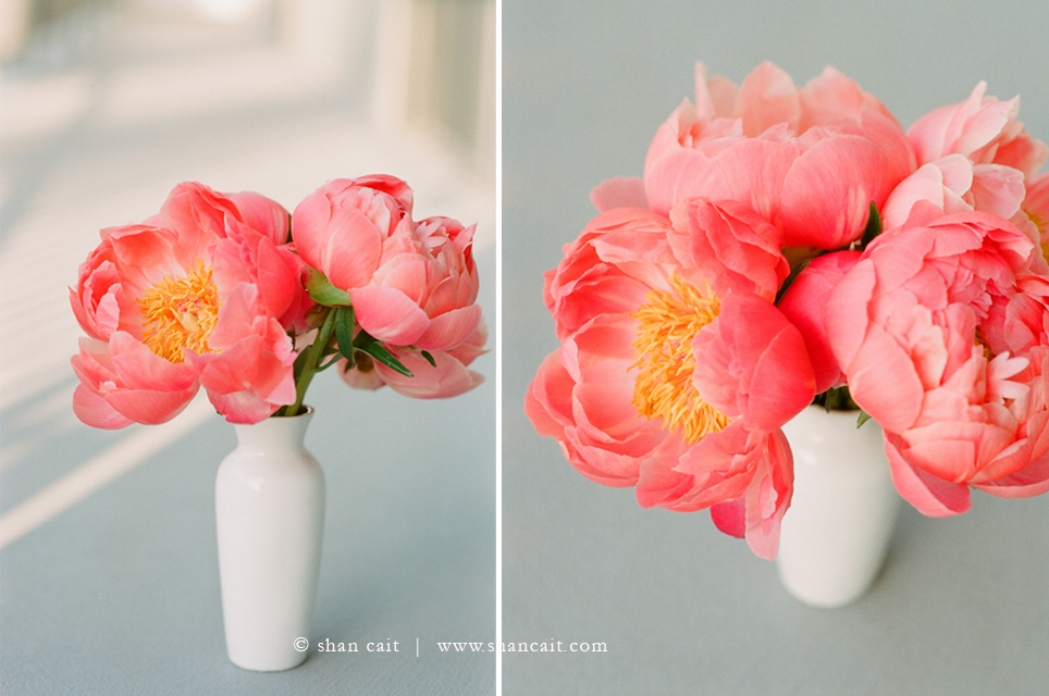 ElDoradoHills_Peony_Photography4