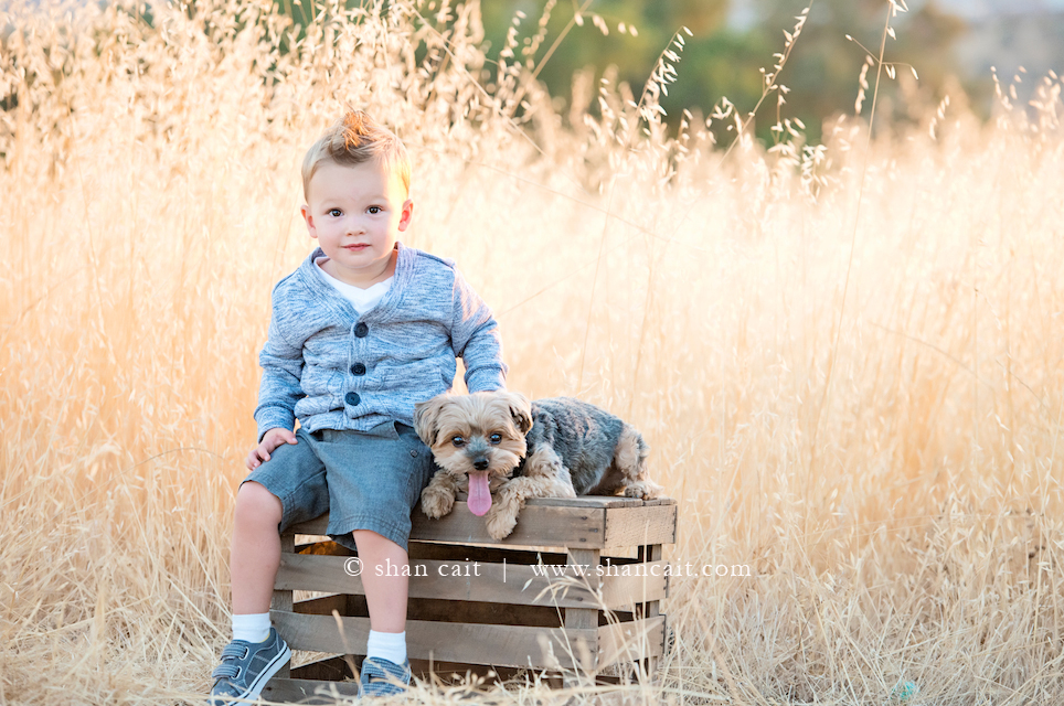 Beautiful Folsom Family Portrait Photography 4