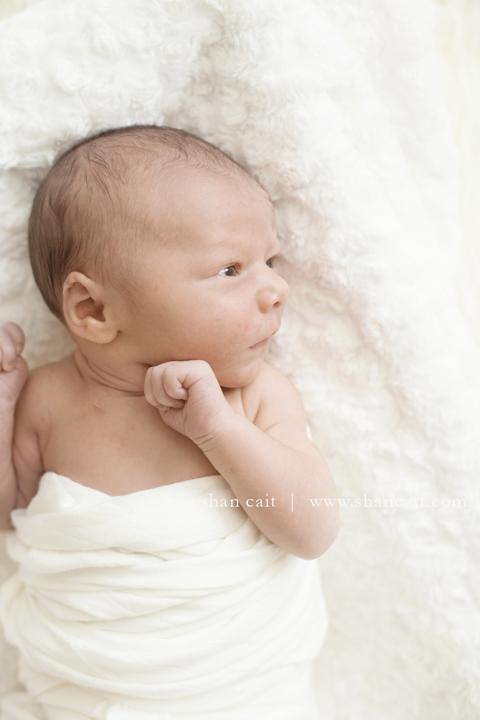 Sacramento Newborn Photographer 1