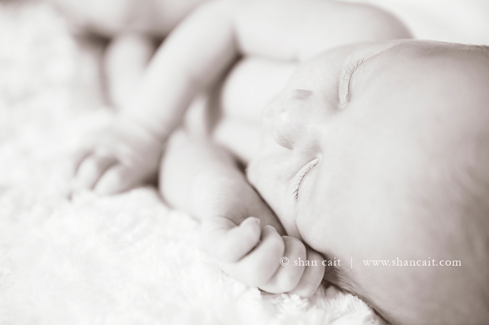 Sacramento Newborn Photographer 14