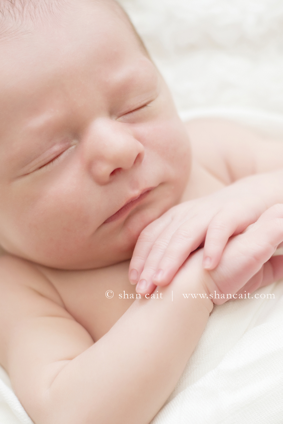 Sacramento Newborn Photographer 2