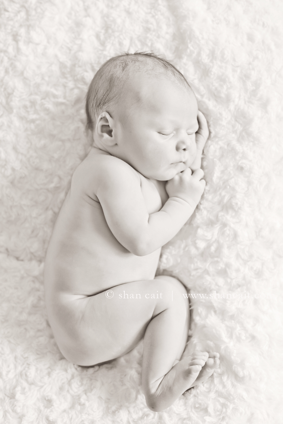 Sacramento Newborn Photographer 3