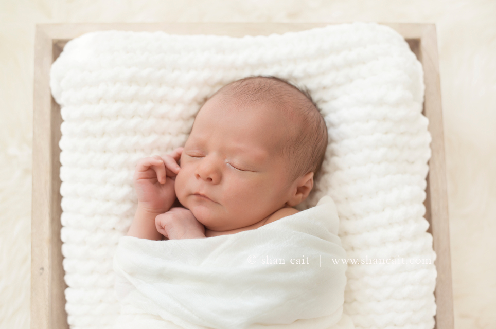 Sacramento Newborn Photographer 6