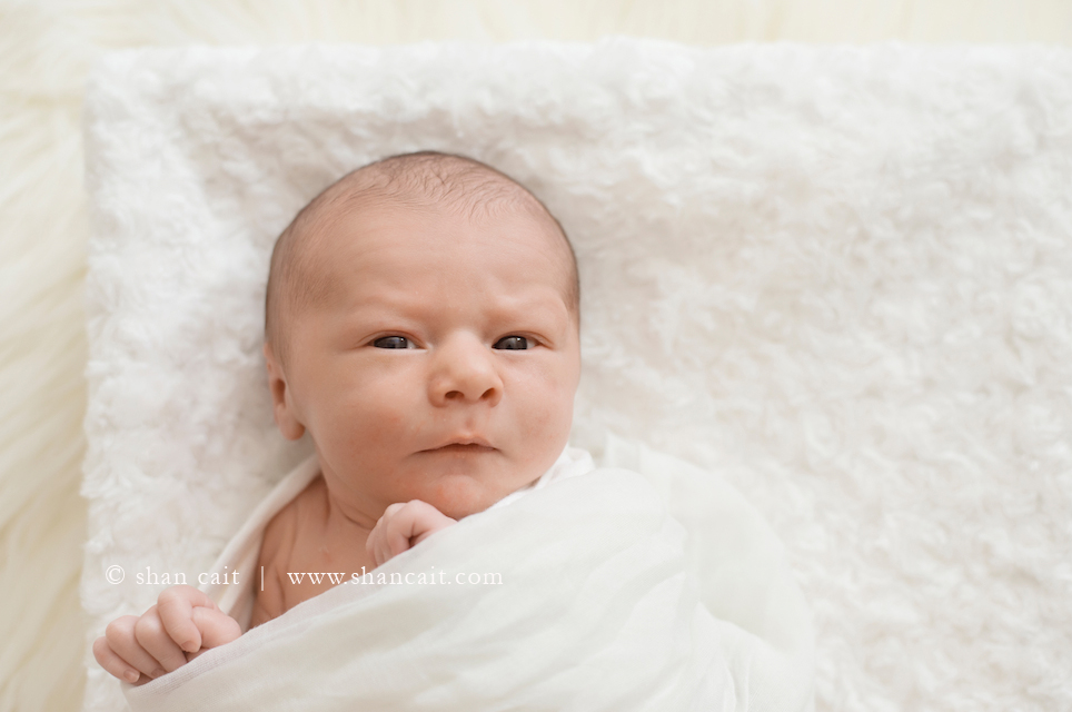 Sacramento Newborn Photographer 7