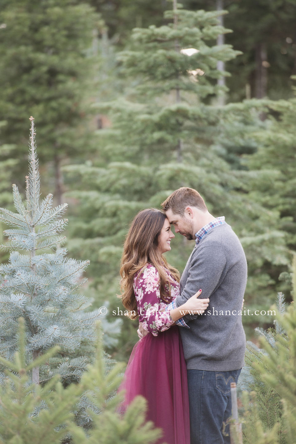 Christmas Tree Farm Photoshoot 23