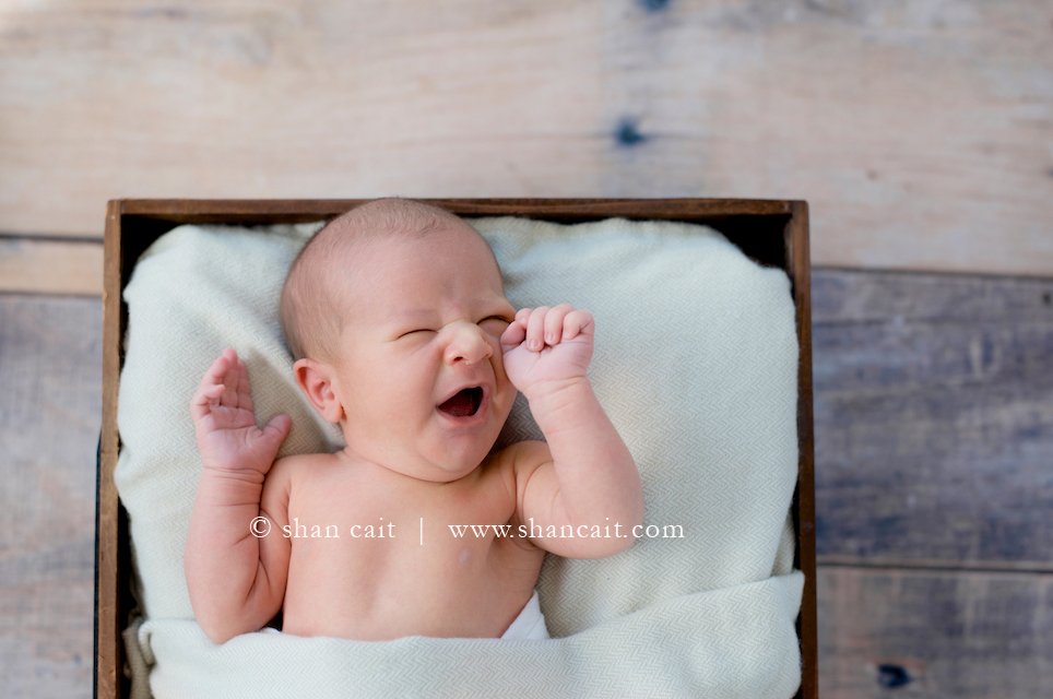 Fsolsom Newborn Photographer 3