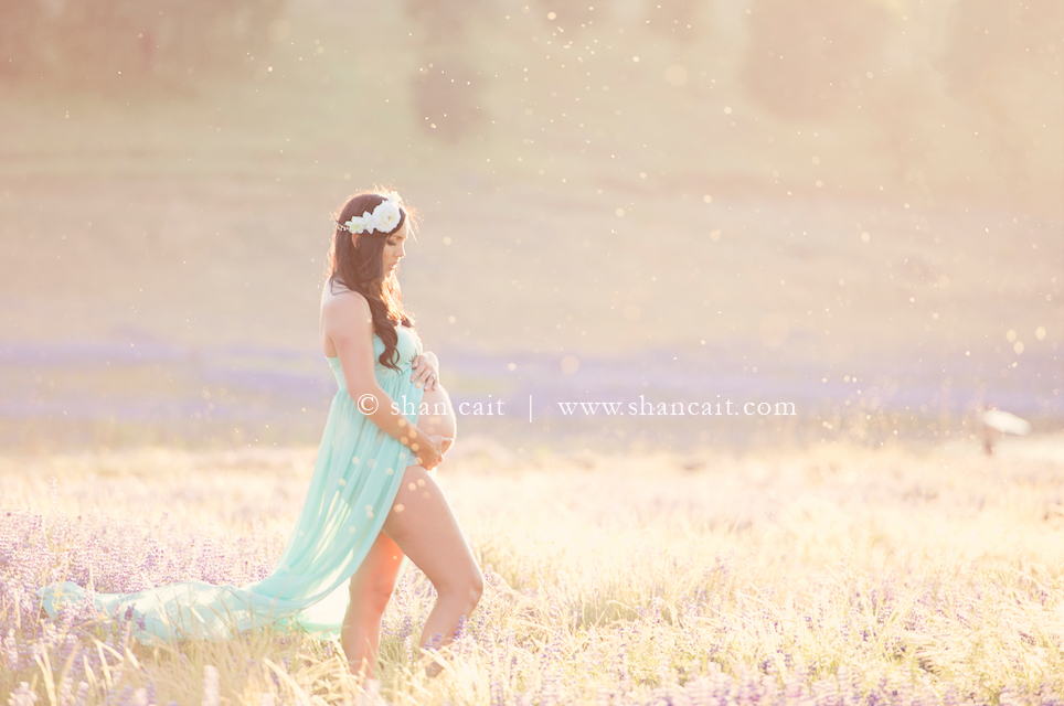 Sacramento Maternity Photographer El Dorado Hills 106