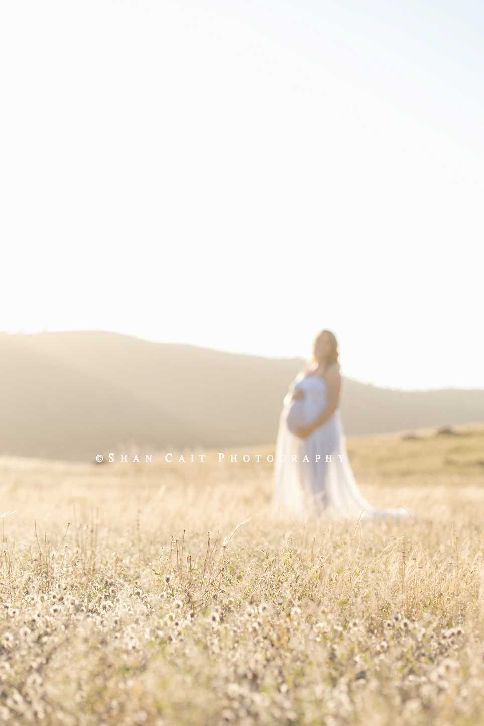 Best Sacramento Maternity Photographer