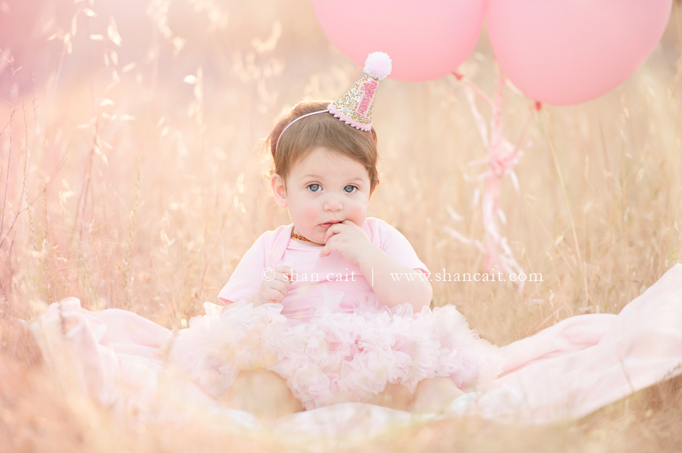 Sacramento 1st birthday Photographer 4