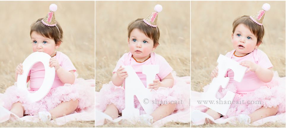 Sacramento 1st birthday Photographer 5