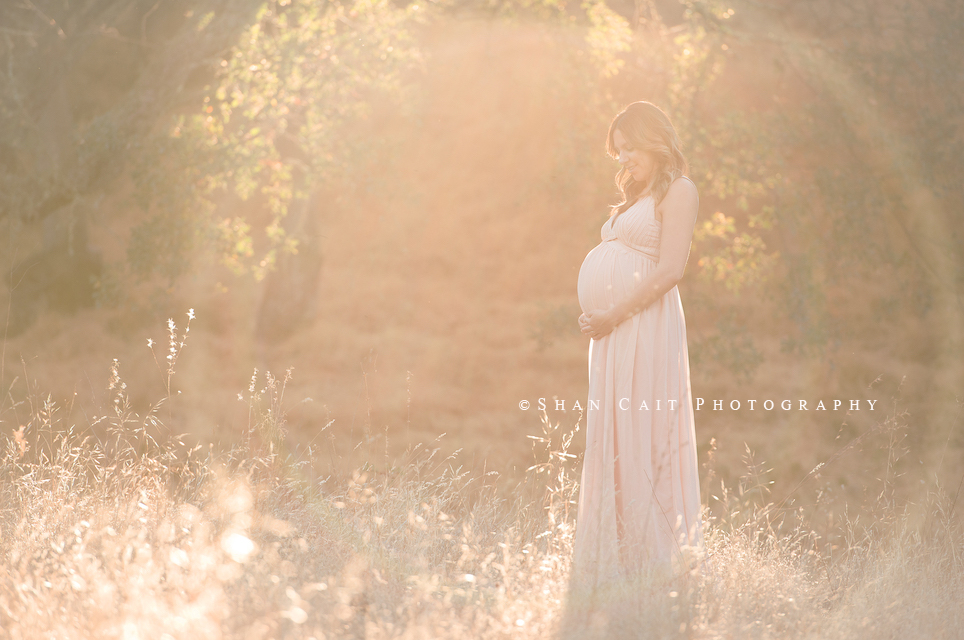 Premier Sacramento Maternity Photographer 3