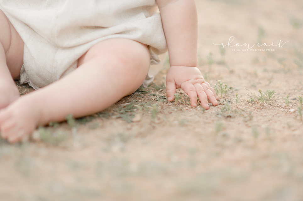 Sacramento Family Photographer-Sacramento Photographer-El Dorado Hills Photographer-Shan Cait Photography-little hand