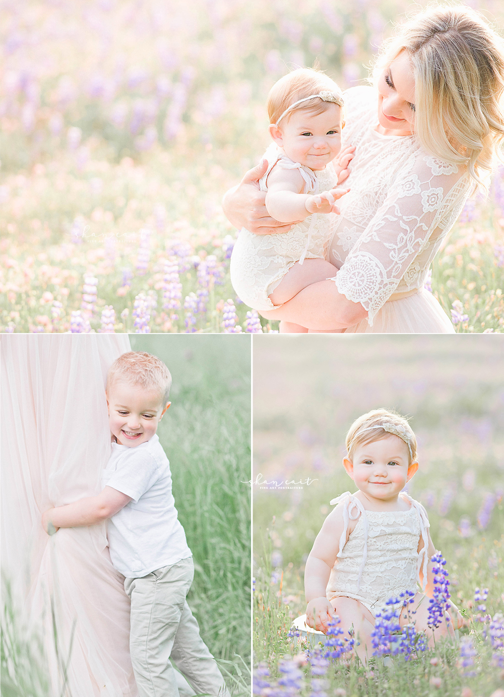 Best Sacramento Photographer-Shan CAit Photography-lupines - best photoshoot locaitons