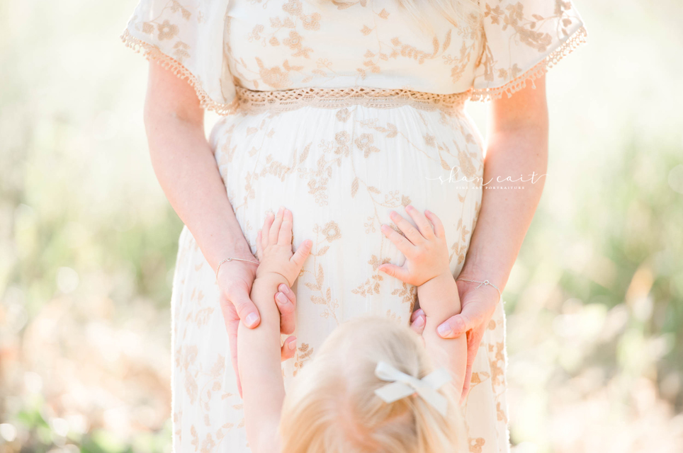 Sacramento Maternity Photographer - Shan Cait - Bouffant Rouge - Folsom - El DOrado hIlls Photographer 40