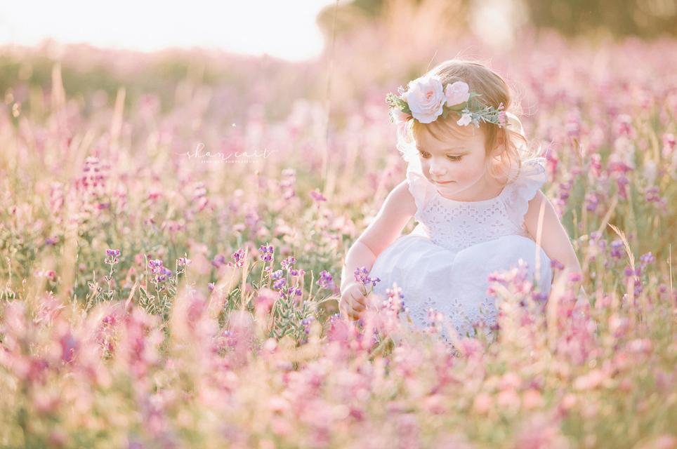 Sacramento Family Photographer, Sacramento Maternity Photographer, Sacramento Baby Photographer, El Dorado Hills Family Photographer, El Dorado Hills Photographer, Folsom Photographer, Roseville Photographer, Sacramento Photographer, Roseville Family Photographer, Best Sacramento Family Photographer, family photoshoot, el dorado hills photoshoot, ideas for family photoshoot, Fine art photography, fine art family portraiture, best places for photoshoot in sacramento, photoshoot locations sacramento, almond orchards, cherry blossoms, beautiful photoshoot locations