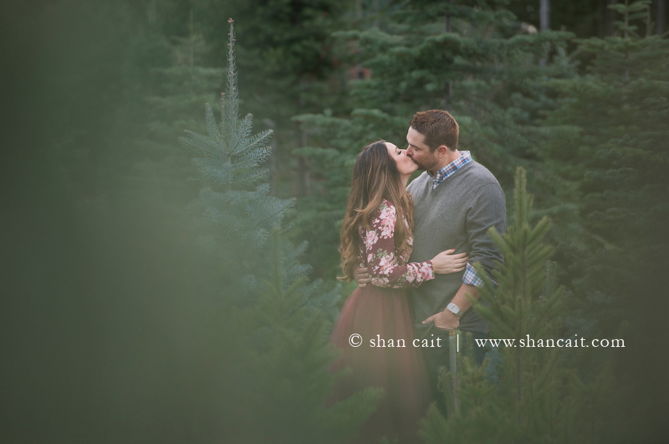 Christmas Tree Farm Photoshoot – Shan Cait Photography – Sacramento