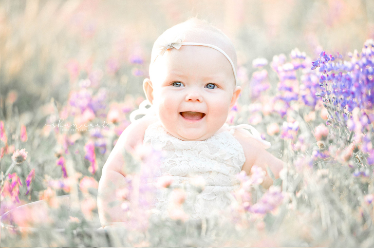 Shan Cait Photography -Sacramento Family Photographer, Sacramento Baby ...