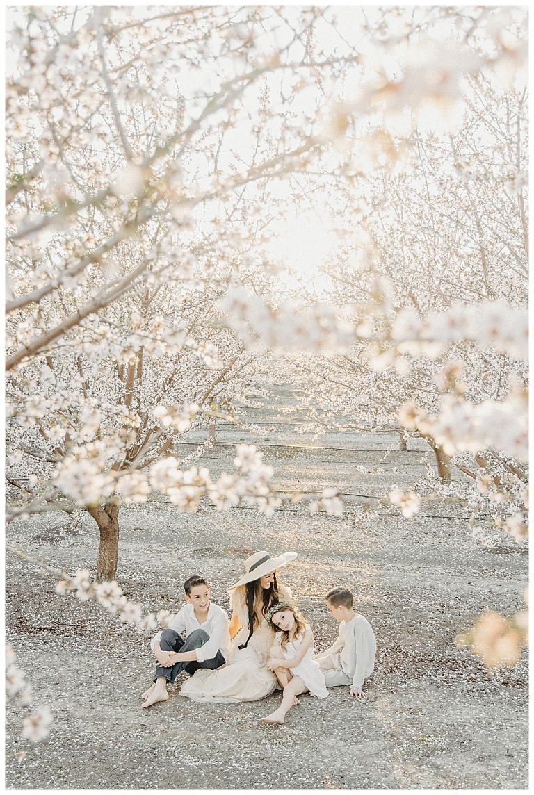 Almond Blossoms, Almond Orchard Photoshoot » Shan Cait Photography