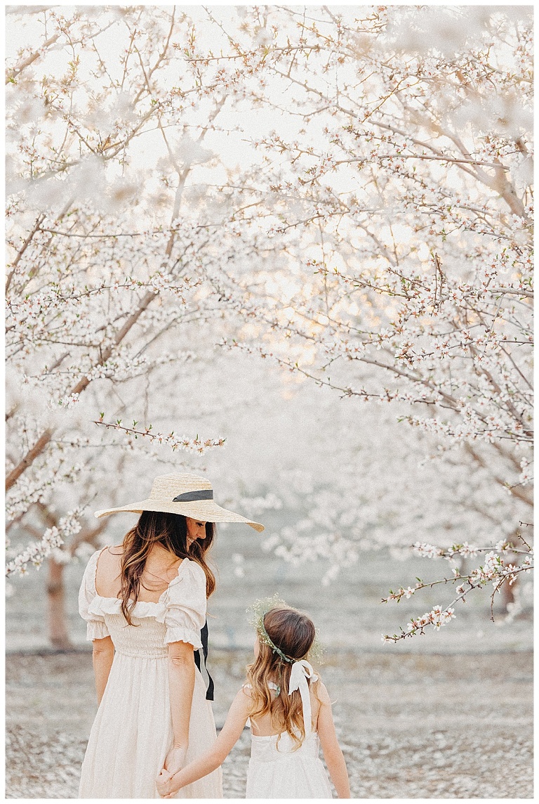 Almond Blossoms, Almond Orchard Photoshoot » Shan Cait Photography